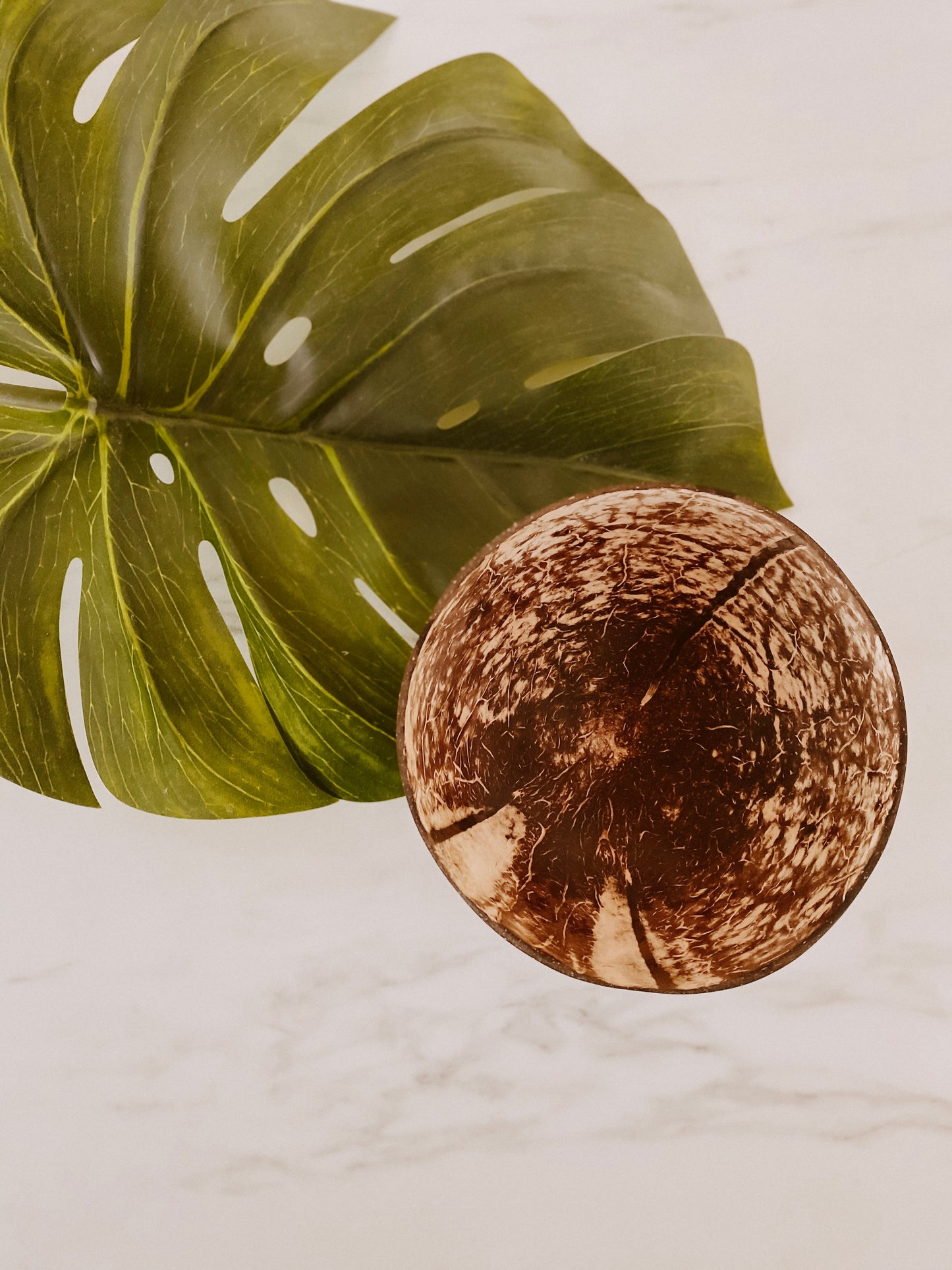 Coconut Bowl Set