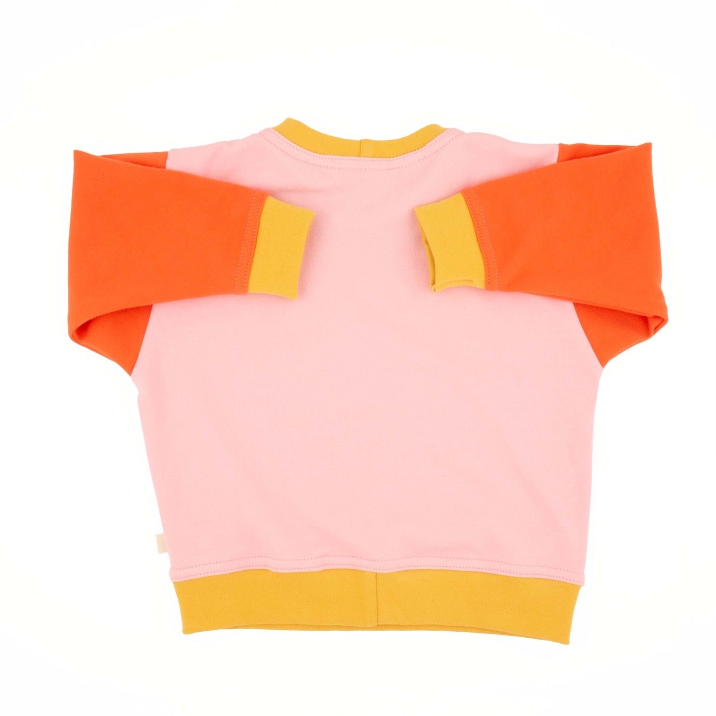 Adult Colorblock Sweatshirt