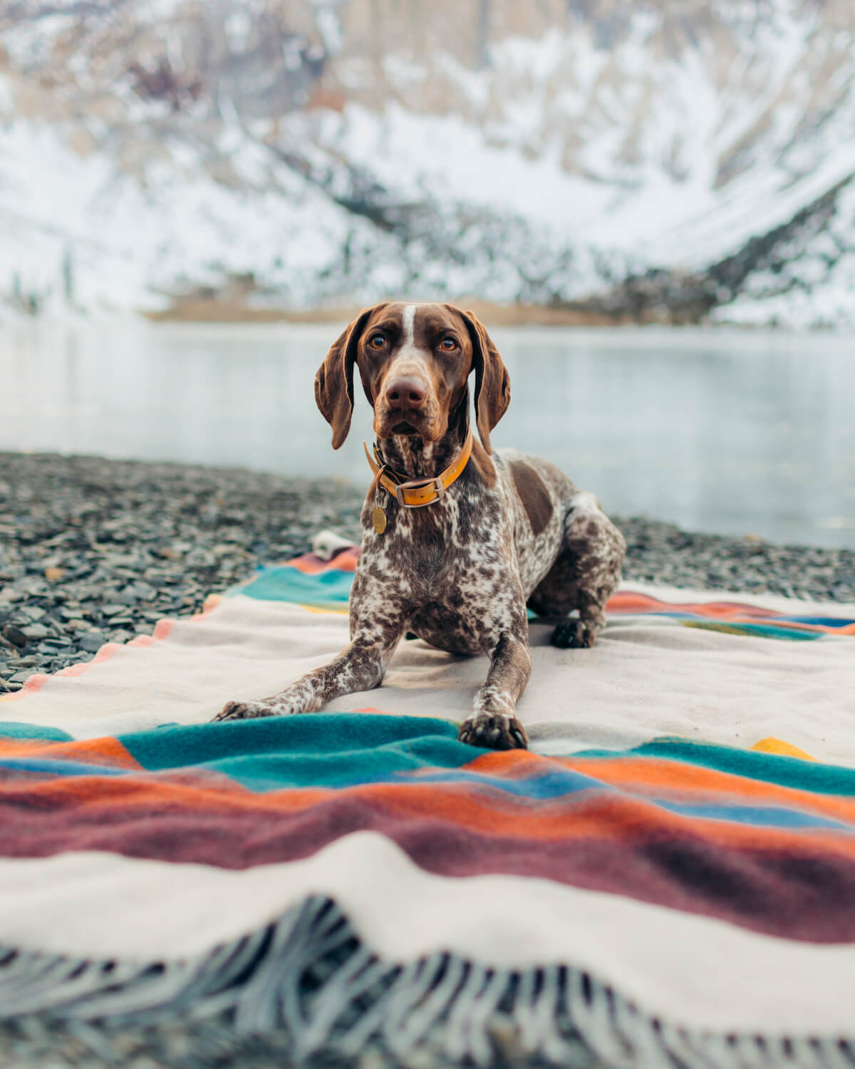 Mountain Tropic Blanket